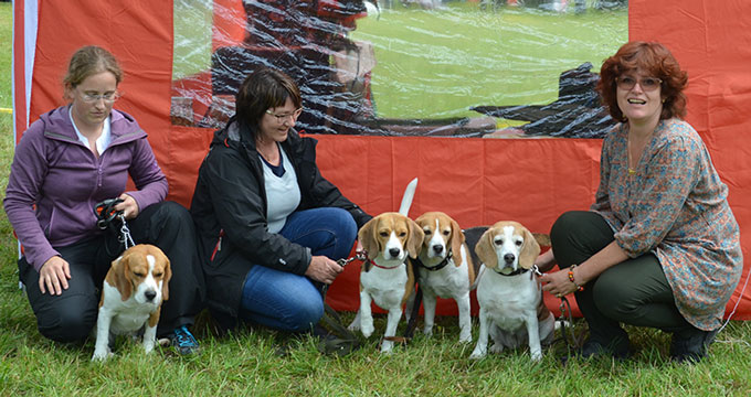 Aidan, Biala, Desiree und Aurora