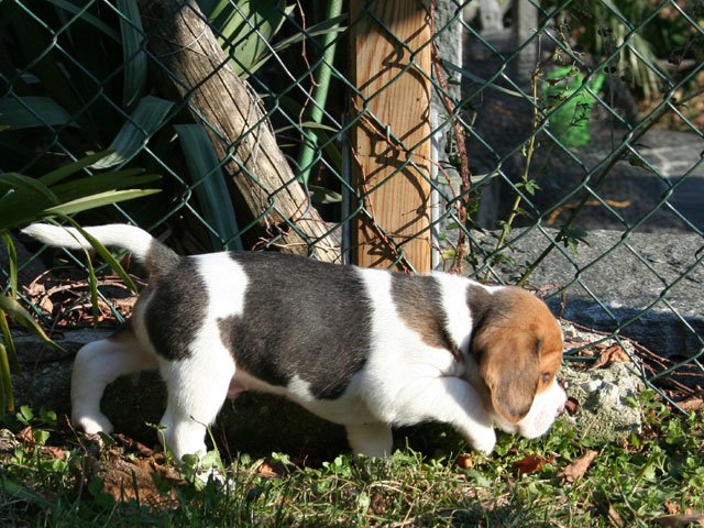 img_0137.jpg
