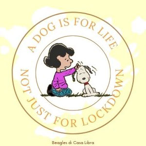 A dog is for life - not just for lockdown