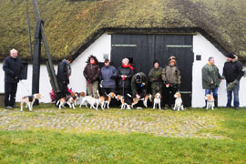 Beaglespaziergang...