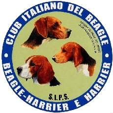 Beagle Club Italia