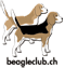 Beagle Club Schweiz