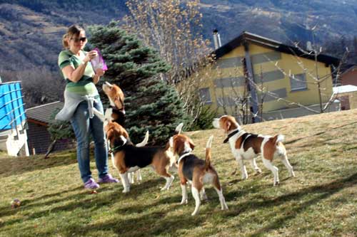 Il primo biscottino per la nonnina Breeze